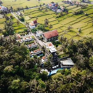Resort The Ning